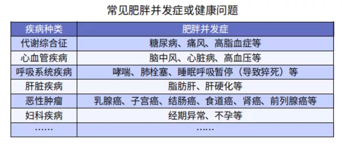 太胖被拒保怎么辦？