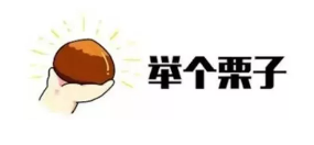 什么是年金轉換？