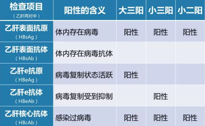乙肝病毒攜帶者應該如何正確投保？